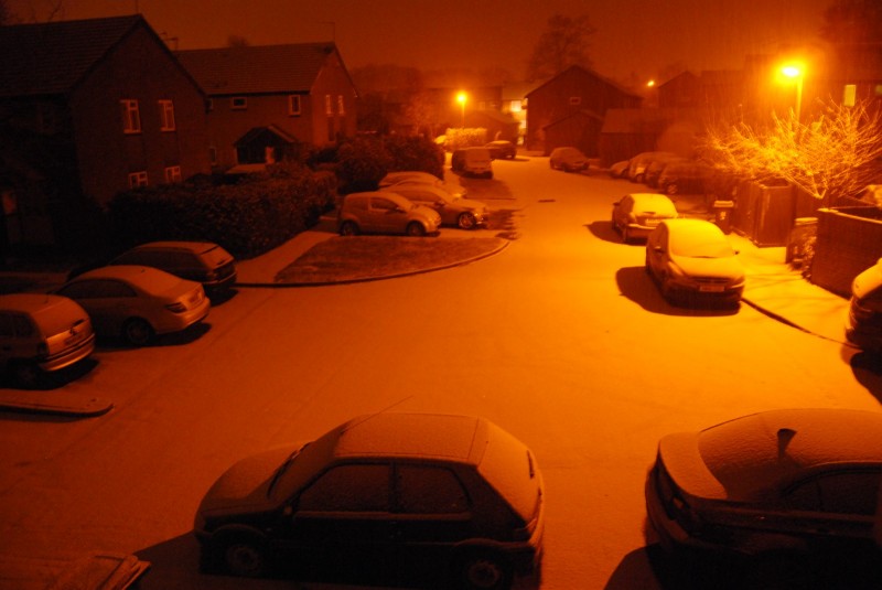 snowy snowy